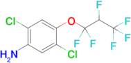 2,5-Dichloro-4-(1,1,2,3,3,3-hexafluoropropoxy)aniline