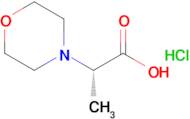 (S)-2-Morpholin-4-yl-propionic acid hydrochloride