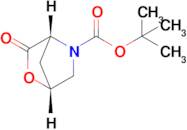 tert-Butyl (1R,4R)-3-oxo-2-oxa-5-azabicyclo[2.2.1]heptane-5-carboxylate