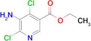 Ethyl 5-amino-4,6-dichloronicotinate