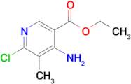 Ethyl 4-amino-6-chloro-5-methylnicotinate