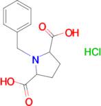 1-Benzylpyrrolidine-2,5-dicarboxylic acid hydrochloride