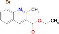 Ethyl 8-bromo-2-methylquinoline-3-carboxylate