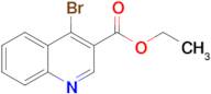 Ethyl 4-bromoquinoline-3-carboxylate