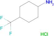 4-(Trifluoromethyl)cyclohexan-1-amine hydrochloride