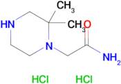 2-(2,2-Dimethylpiperazin-1-yl)acetamide dihydrochloride