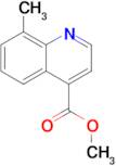 Methyl 8-methylquinoline-4-carboxylate