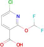 6-Chloro-2-(difluoromethoxy)nicotinic acid