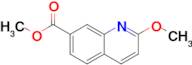 Methyl 2-methoxyquinoline-7-carboxylate