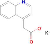 Potassium 2-(quinolin-4-yl)acetate