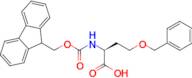 N-(((9H-Fluoren-9-yl)methoxy)carbonyl)-O-benzyl-L-homoserine