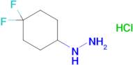 (4,4-Difluorocyclohexyl)hydrazine hydrochloride