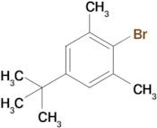 2-Bromo-5-(tert-butyl)-1,3-dimethylbenzene