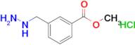 Methyl 3-(hydrazinylmethyl)benzoate hydrochloride