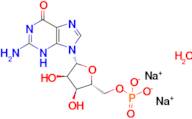 disodium hydrate [(2R,3S,4R,5R)-5-(2-amino-6-oxo-6,9-dihydro-3H-purin-9-yl)-3,4-dihydroxyoxolan-2-yl]methyl phosphate