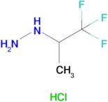 (1,1,1-Trifluoropropan-2-yl)hydrazine hydrochloride