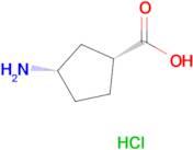 (1R,3S)-3-Aminocyclopentane-1-carboxylic acid hydrochloride