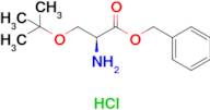 Benzyl O-(tert-butyl)-L-serinate hydrochloride