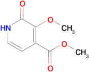 Methyl 3-methoxy-2-oxo-1,2-dihydropyridine-4-carboxylate