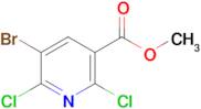 Methyl 5-bromo-2,6-dichloronicotinate