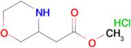 Methyl2-(morpholin-3-yl)acetatehydrochloride