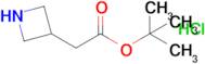 tert-Butyl2-(azetidin-3-yl)acetatehydrochloride