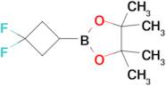 2-(3,3-Difluorocyclobutyl)-4,4,5,5-tetramethyl-1,3,2-dioxaborolane