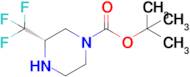 Tert-butyl (S)-3-(trifluoromethyl)piperazine-1-carboxylate