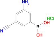 (3-Amino-5-cyanophenyl)boronic acid hydrochloride
