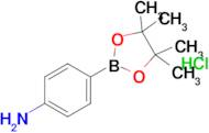 4-(4,4,5,5-Tetramethyl-1,3,2-dioxaborolan-2-yl)aniline hydrochloride