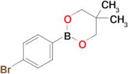 2-(4-Bromophenyl)-5,5-dimethyl-1,3,2-dioxaborinane