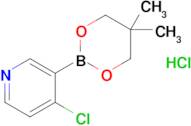 4-Chloro-3-(5,5-dimethyl-1,3,2-dioxaborinan-2-yl)pyridine hydrochloride