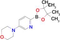 4-(6-(4,4,5,5-Tetramethyl-1,3,2-dioxaborolan-2-yl)pyridin-3-yl)morpholine