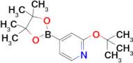 2-(Tert-butoxy)-4-(4,4,5,5-tetramethyl-1,3,2-dioxaborolan-2-yl)pyridine