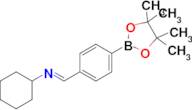 (E)-n-Cyclohexyl-1-(4-(4,4,5,5-tetramethyl-1,3,2-dioxaborolan-2-yl)phenyl)methanimine