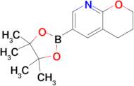 6-(4,4,5,5-Tetramethyl-1,3,2-dioxaborolan-2-yl)-3,4-dihydro-2H-pyrano[2,3-b]pyridine