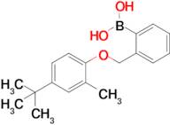 (2-((4-(Tert-butyl)-2-methylphenoxy)methyl)phenyl)boronic acid