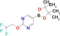 5-(4,4,5,5-Tetramethyl-1,3,2-dioxaborolan-2-yl)-2-(2,2,2-trifluoroethoxy)pyrimidine