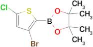 2-(3-Bromo-5-chlorothiophen-2-yl)-4,4,5,5-tetramethyl-1,3,2-dioxaborolane