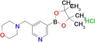 4-((5-(4,4,5,5-Tetramethyl-1,3,2-dioxaborolan-2-yl)pyridin-3-yl)methyl)morpholine hydrochloride