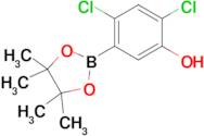 2,4-Dichloro-5-(4,4,5,5-tetramethyl-1,3,2-dioxaborolan-2-yl)phenol