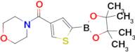 Morpholino(5-(4,4,5,5-tetramethyl-1,3,2-dioxaborolan-2-yl)thiophen-3-yl)methanone