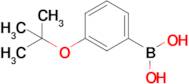 (3-tert-Butoxyphenyl)boronic acid