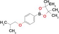 2-(4-Isobutoxyphenyl)-4,4,5,5-tetramethyl-1,3,2-dioxaborolane