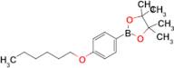 2-[4-(Hexyloxy)phenyl]-4,4,5,5-tetramethyl-1,3,2-dioxaborolane