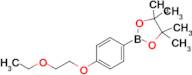 2-[4-(2-Ethoxyethoxy)phenyl]-4,4,5,5-tetramethyl-1,3,2-dioxaborolane