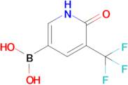 [6-oxo-5-(trifluoromethyl)-1,6-dihydropyridin-3-yl]boronic acid