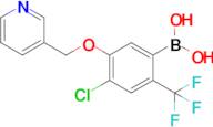 [4-Chloro-5-(pyridin-3-ylmethoxy)-2-(trifluoromethyl)phenyl]boronic acid