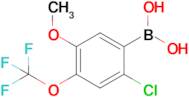 [2-Chloro-5-methoxy-4-(trifluoromethoxy)phenyl]boronic acid