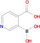 3-Boronoisonicotinic acid